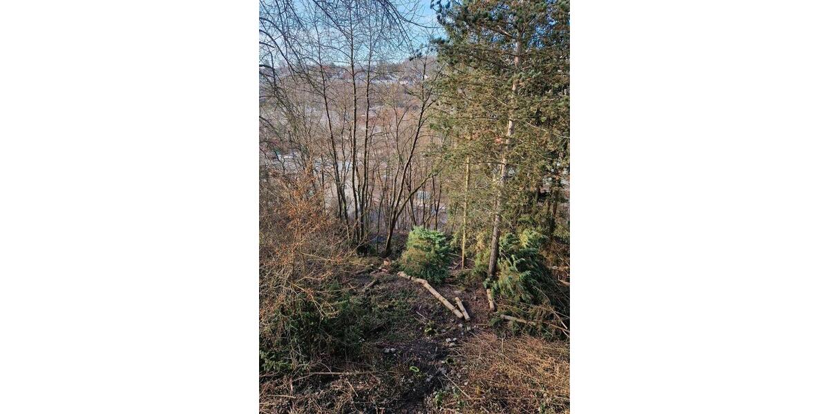 Einfamilienhaus Saarbrücken Malstatt - 6 Zimmer, 130 m&sup2;, 210.000&euro; | Angebot:24559740