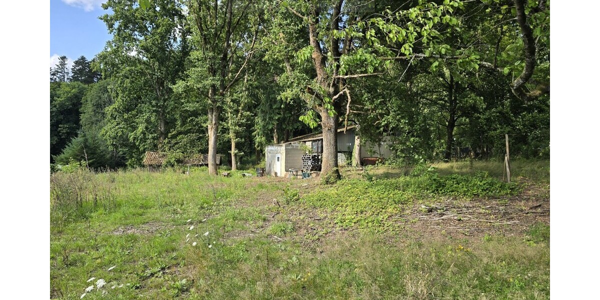 Ihr Rückzugsort in der Natur – Ferienhaus 