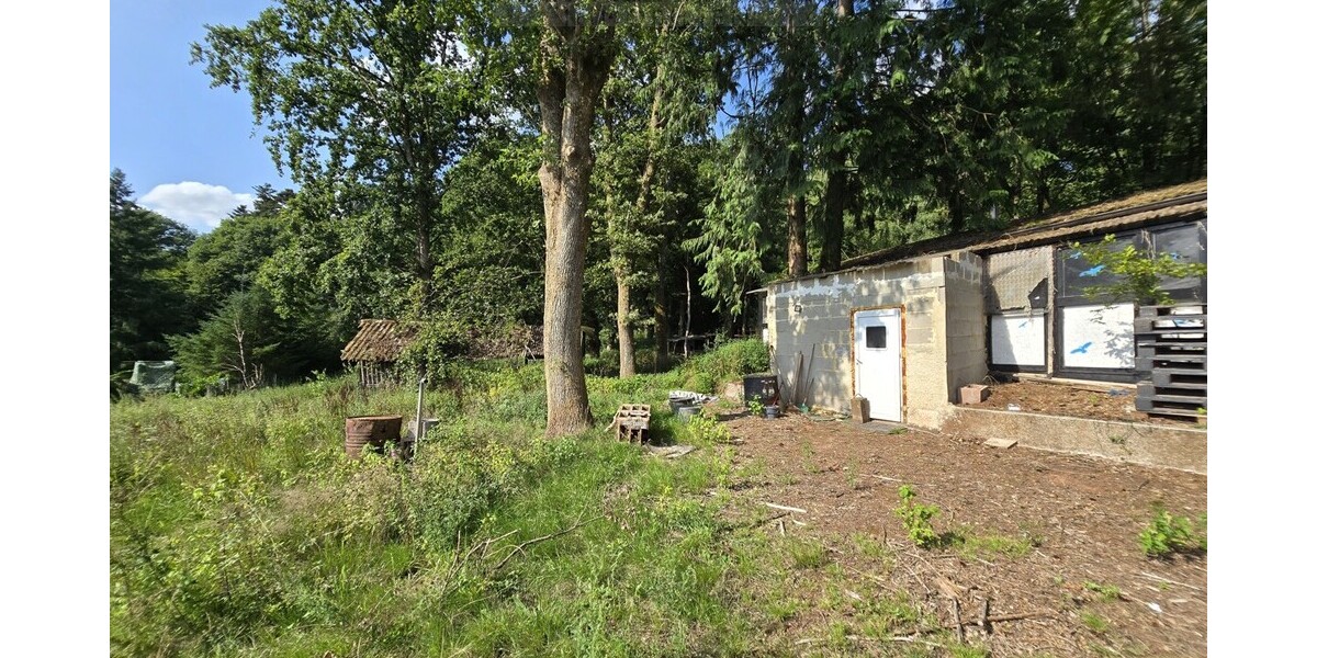 Seltene Gelegenheit! Häuschen im Grünen! Natur pur! - Ferienhaus Schmelz | Angebot:27010265
