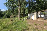 Seltene Gelegenheit! Häuschen im Grünen! Natur pur! - Ferienhaus Schmelz | Angebot:27010265