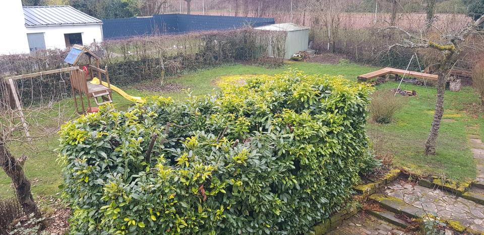 Einfamilienhaus Zweibrücken - 6 Zimmer, 170 m&sup2;, 1.700&euro; | Angebot:24524570