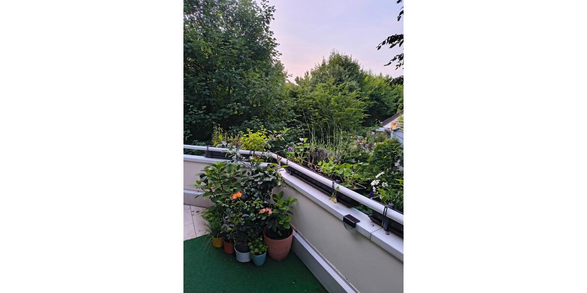 Etagenwohnung Blieskastel - 2 Zimmer, 74 m&sup2;, 780&euro; | Angebot:25436096