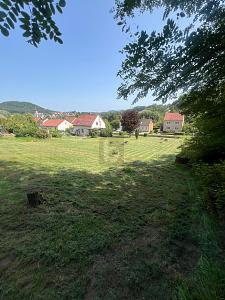 FLEXIBEL BAUEN, TOLLE GRÖSSE, GUTE LAGE - Grundstück Beckingen | Angebot:26592576