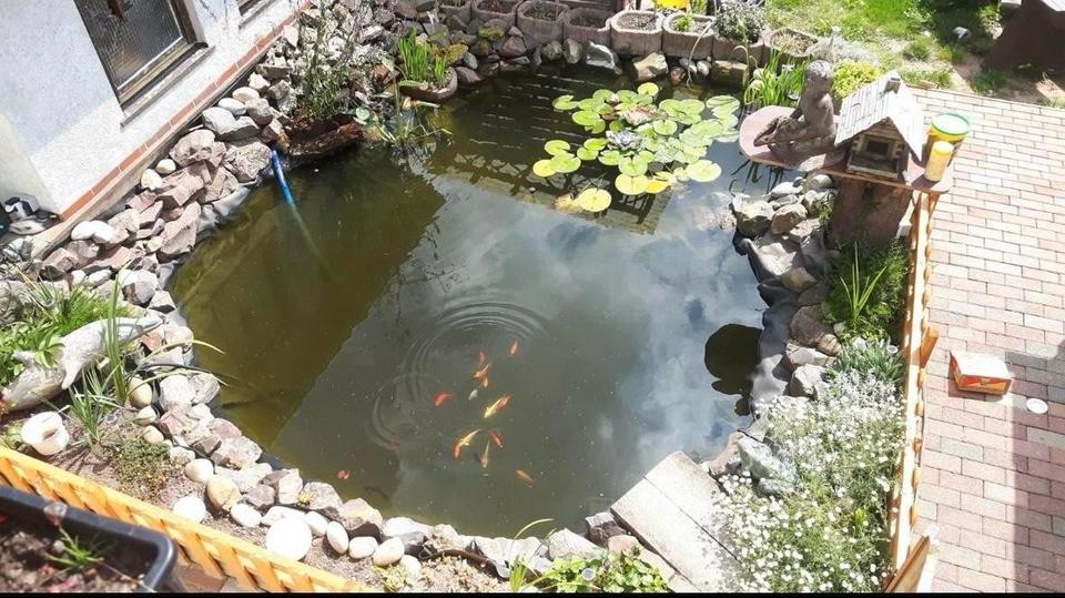 Mehrfamilienhaus, Wohnhaus Heusweiler - 8 Zimmer, 260 m&sup2;, 329.000&euro; | Angebot:24819535