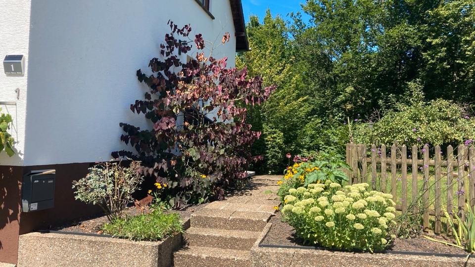 Einfamilienhaus Tholey - 5 Zimmer, 189 m&sup2;, 1.300&euro; | Angebot:24989496