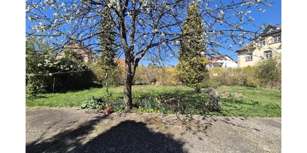 Raum für Ideen: Bauernhaus mit Mehrwert: Haupthaus und 4 vermietete Wohneinheiten - Mehrfamilienhaus, Wohnhaus Blieskastel-Böckweiler Böckweiler | Angebot:24411404