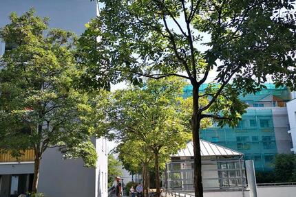 Wohnung Saarbrücken - 4 Zimmer, 85 m&sup2;, 160.000&euro; | Angebot:25853588