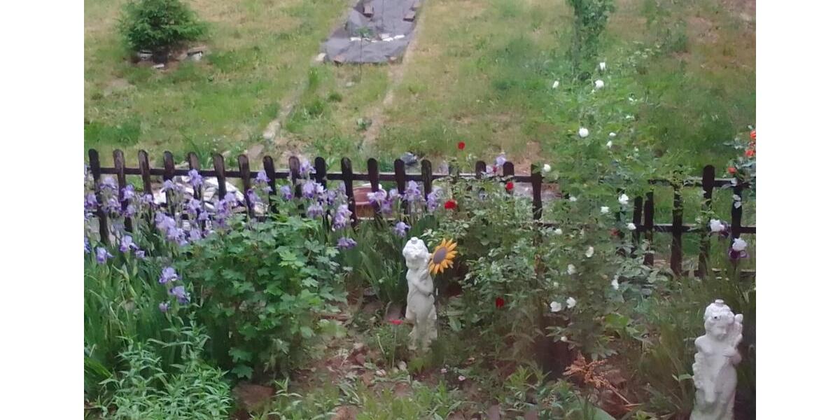 Einfamilienhaus Beckingen - 3 Zimmer, 310 m&sup2;, 350.000&euro; | Angebot:25148006