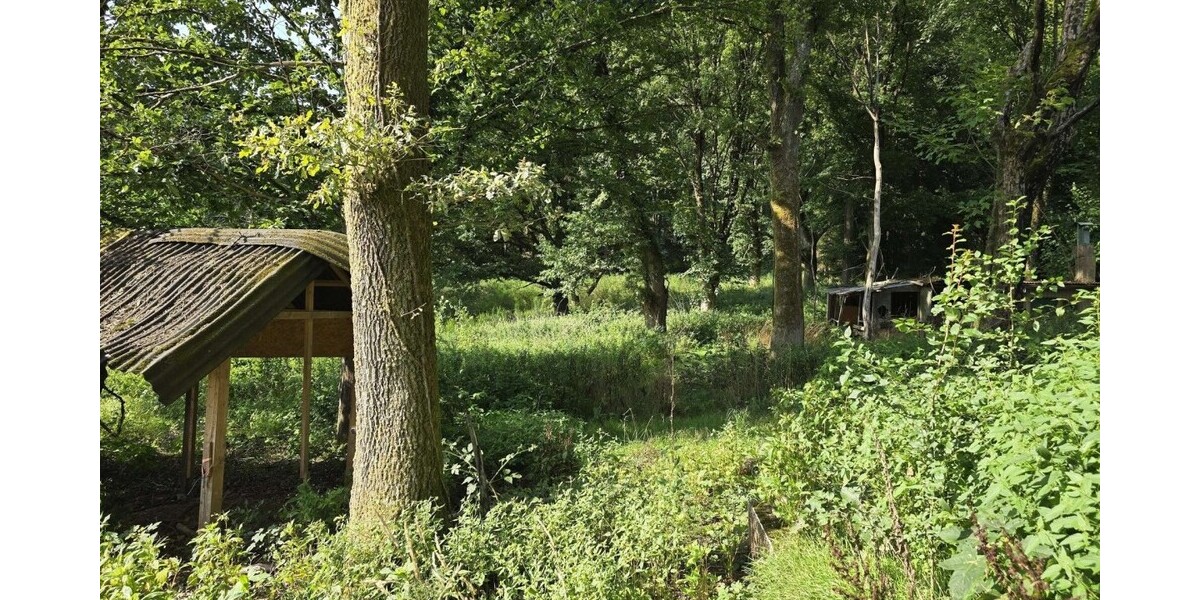Seltene Gelegenheit! Häuschen im Grünen! Natur pur! - Ferienhaus Schmelz | Angebot:27010265