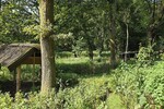 Seltene Gelegenheit! Häuschen im Grünen! Natur pur! - Ferienhaus Schmelz | Angebot:27010265