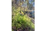 Einfamilienhaus Schmelz - 2 Zimmer, 52 m&sup2;, 98.500&euro; | Angebot:26497955