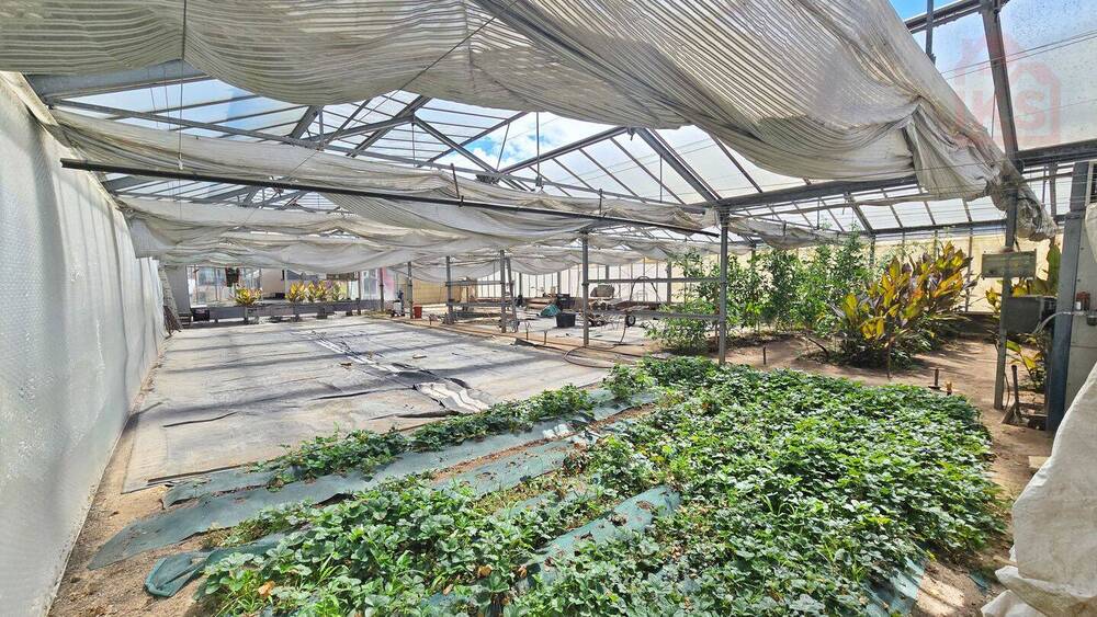 Mehrfamilienhaus, Wohnhaus Völklingen / Lauterbach Lauterbach - 1 Zimmer, 270 m&sup2;, 349.000&euro; | Angebot:25673962