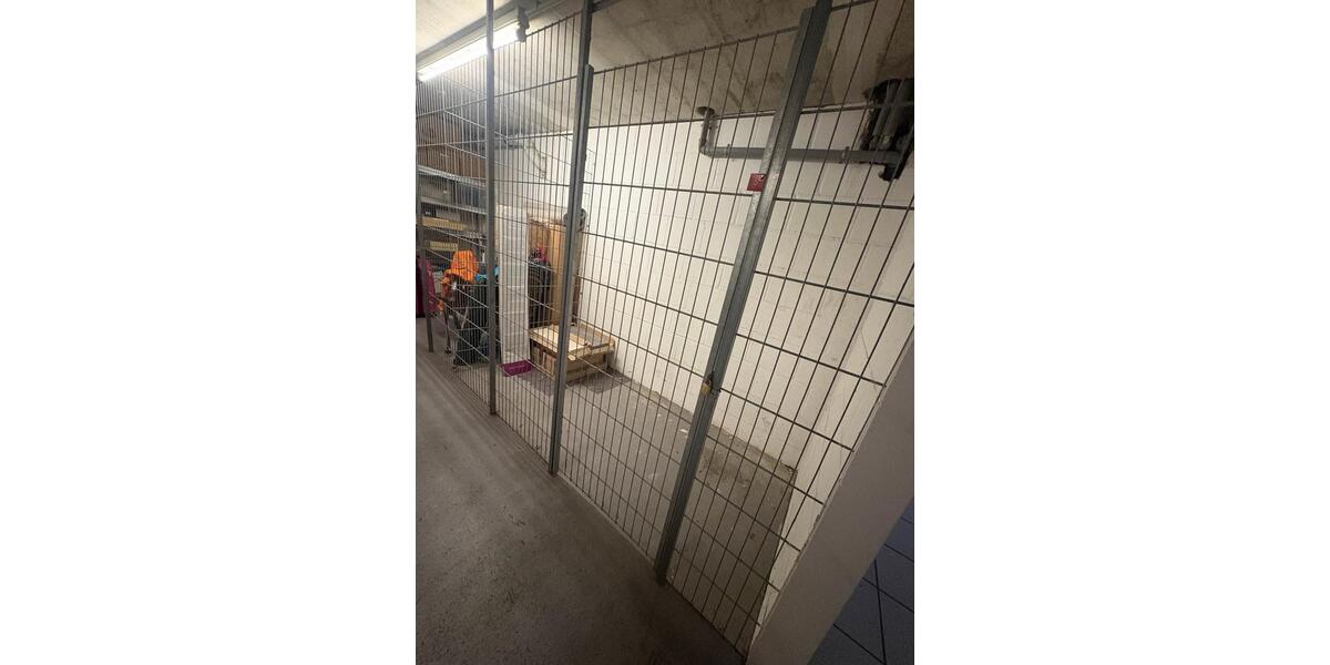 Dachgeschoßwohnung Saarlouis - 3 Zimmer, 80 m&sup2;, 770&euro; | Angebot:25945411