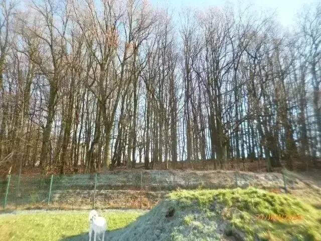 Einfamilienhaus Schmelz Primsweiler - 7 Zimmer, 190 m&sup2;, 669.000&euro; | Angebot:25712596