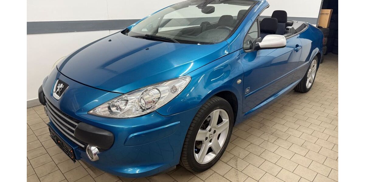 Peugeot 307 296.000 km 1.290 &euro; Schmelz 66839