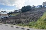 TOP LAGE, VIELE BAUMÖGLICHKEITEN, 765M² - Grundstück Beckingen | Angebot:27354987