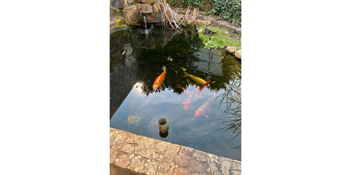 Doppelhaushälfte Schwalbach - 379.000&euro; | Angebot:25039360