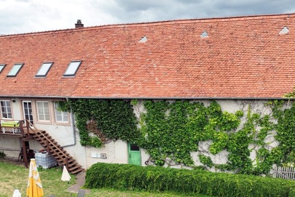 Raum für Ideen: Bauernhaus mit Mehrwert: Haupthaus und 4 vermietete Wohneinheiten - Haus Blieskastel-Böckweiler Böckweiler | Angebot:24411404