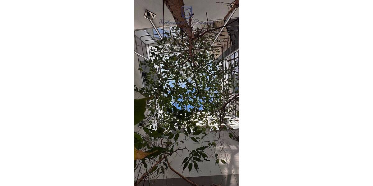 Gewerbeobjekt Saarwellingen - 8 Zimmer, 270 m&sup2;, 1.150.000&euro; | Angebot:25697922