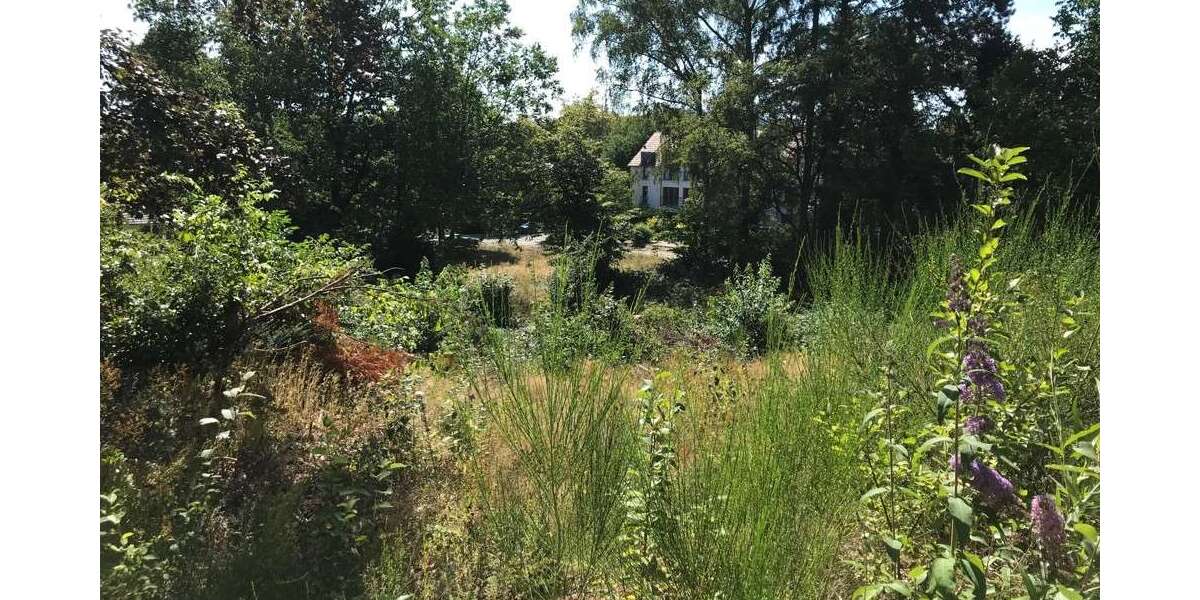 Grundstück Homburg - 249.000&euro; | Angebot:11064445