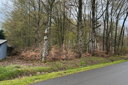 Ferienimmobilie Saarwellingen - 152.565&euro; | Angebot:26460764