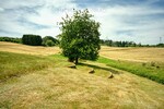 Natur pur! Außergewöhnliches Architektenhaus in traumhafter Lage und mit Einliegerwohnung - Einfamilienhaus Schmelz | Angebot:27355602