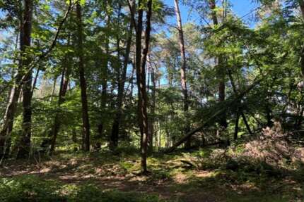 Grundstück Schmelz - 56.000&euro; | Angebot:26950330