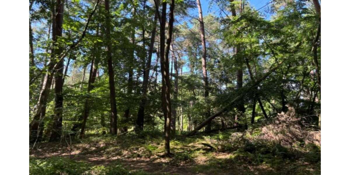 Grundstück Schmelz - 56.000&euro; | Angebot:26950330