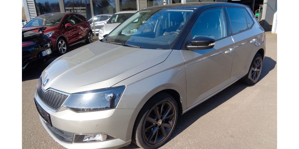 Skoda Fabia 80.000 km 13.500 &euro; Lebach 66822