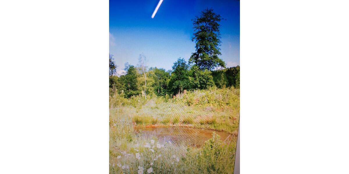 Etagenwohnung Nalbach - 2 Zimmer, 58 m&sup2;, 395&euro; | Angebot:25905773