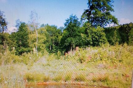 Wohnung Nalbach - 2 Zimmer, 58 m&sup2;, 395&euro; | Angebot:25905773