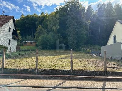SUPER LAGE UND AUSRICHTUNG, ERSCHLOSSEN, B-PLAN - Grundstück Beckingen | Angebot:27354956