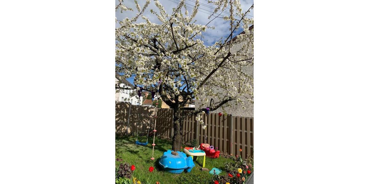 Bauernhaus, Landhaus Schmelz - 8 Zimmer, 180 m&sup2;, 329.000&euro; | Angebot:25992838