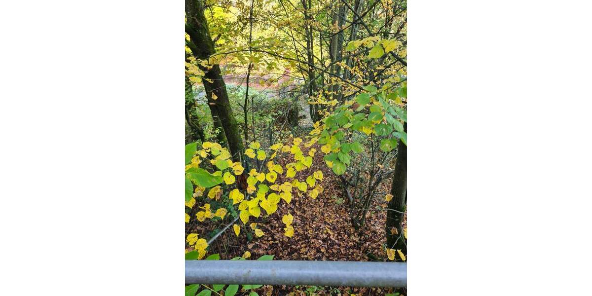 Grundstück Neunkirchen Innenstadt - 495.000&euro; | Angebot:25663077