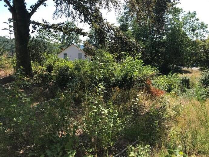 Grundstück Homburg Schwarzenbach - 249.000&euro; | Angebot:25747852