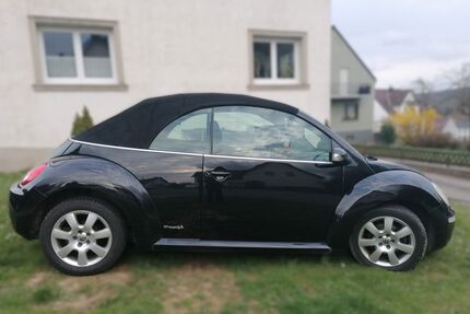 VW New Beetle 244.500 km 4.800 &euro; Gersheim 66453