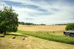 Natur pur! Außergewöhnliches Architektenhaus in traumhafter Lage und mit Einliegerwohnung - Einfamilienhaus Schmelz | Angebot:27355602