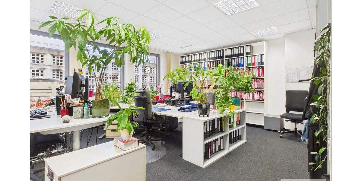 Gewerbeobjekt Saarbrücken St Johann - 9 Zimmer, 314 m&sup2;, 3.768&euro; | Angebot:25726199