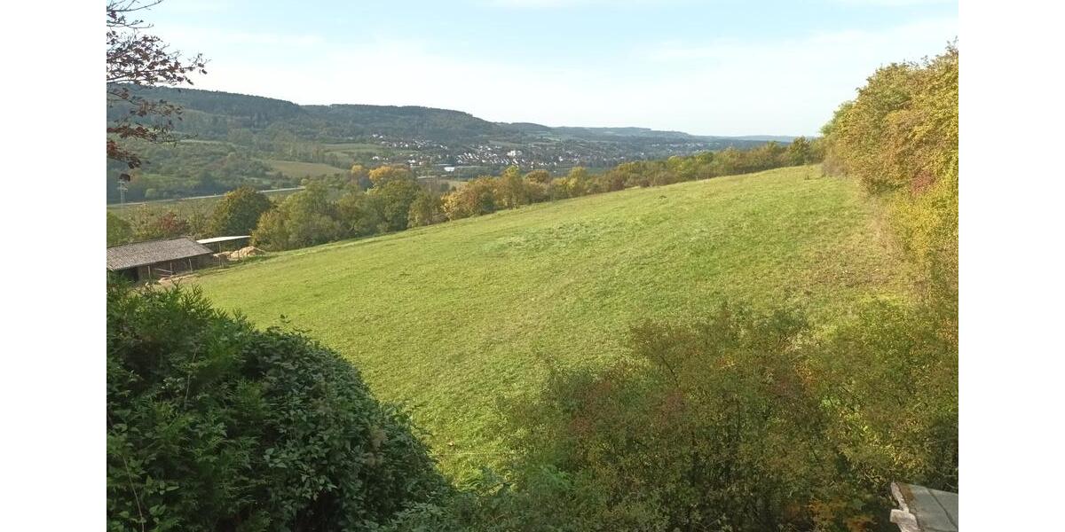 Erdgeschoßwohnung Beckingen - 3 Zimmer, 130 m&sup2;, 975&euro; | Angebot:25572199