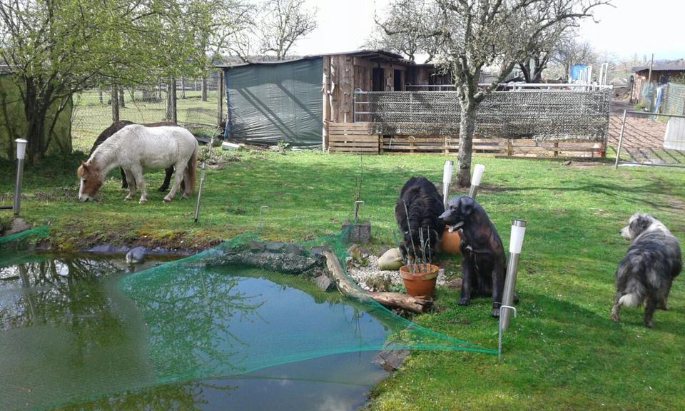 Einfamilienhaus Großrosseln - 3 Zimmer, 90 m&sup2;, 89.000&euro; | Angebot:25917192