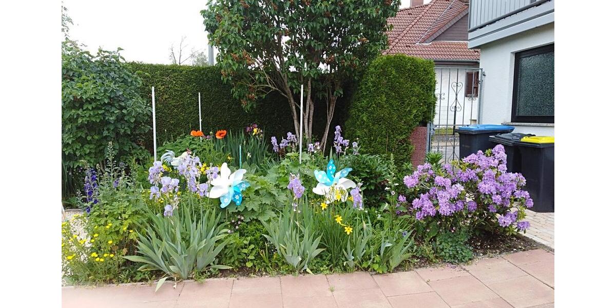 Einfamilienhaus Schwalbach - 10 Zimmer, 270 m&sup2;, 390.000&euro; | Angebot:23470755