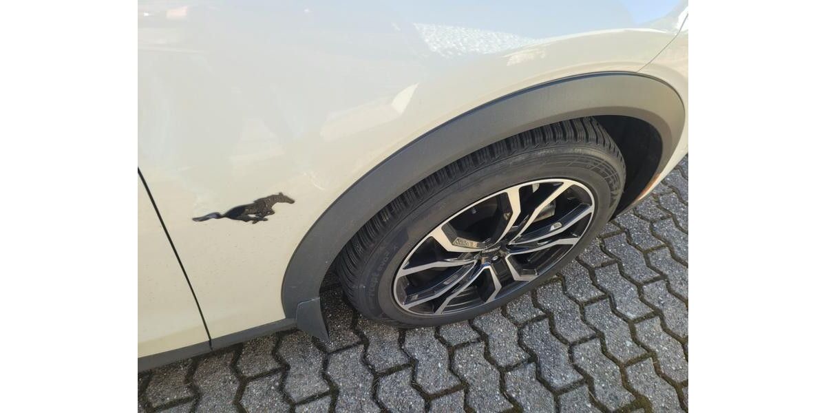 Ford Mustang Mach-E 52.000 km 31.800 &euro; Saarlouis 66740