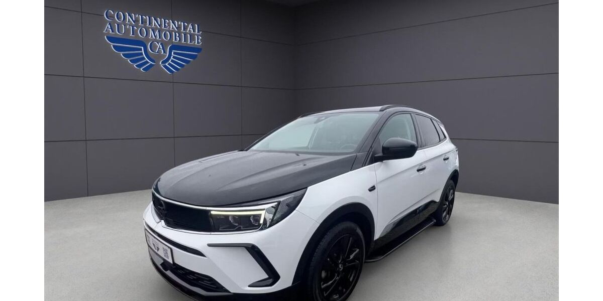 Opel Grandland (X) 64.615 km 22.989 &euro; Saarlouis 66740