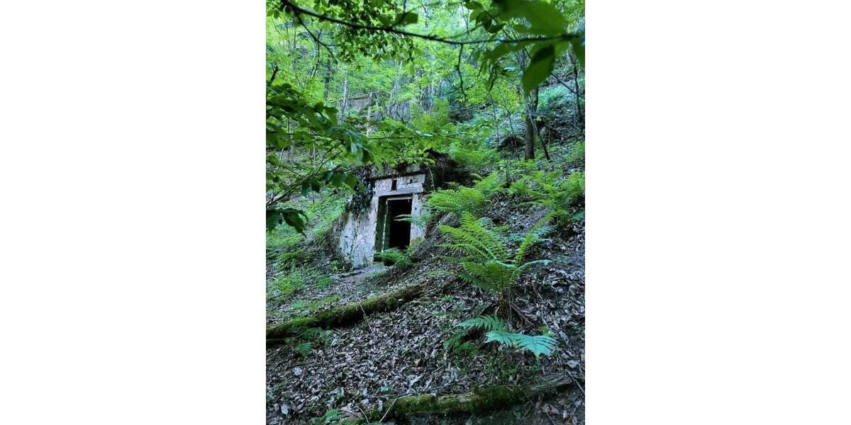 Einfamilienhaus Beckingen - 3 Zimmer, 80 m&sup2;, 160.000&euro; | Angebot:25971190