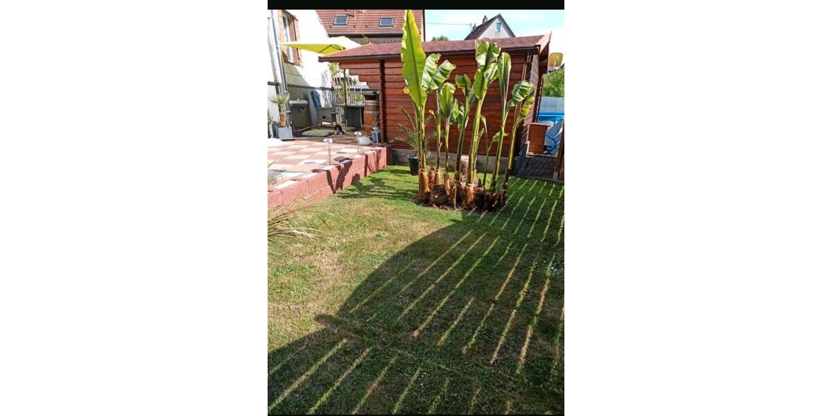Mehrfamilienhaus, Wohnhaus Schiffweiler - 9 Zimmer, 300 m&sup2;, 233.000&euro; | Angebot:26420580