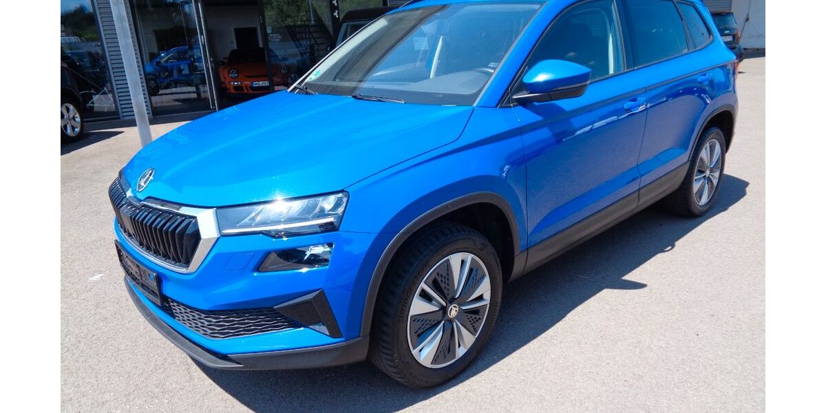 Skoda Karoq 119.000 km 21.500 &euro; Lebach 66822