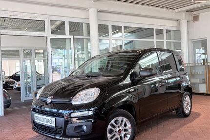 Fiat Panda 43.100 km 9.000 &euro; Homburg/Saar 66424