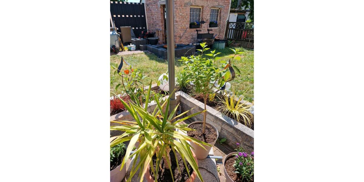 Mehrfamilienhaus, Wohnhaus Neunkirchen Heinitz - 8 Zimmer, 210 m&sup2;, 218.000&euro; | Angebot:25655086