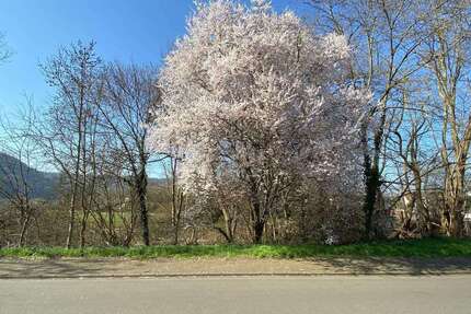 Grundstück Dillingen - 320.000&euro; | Angebot:16083280