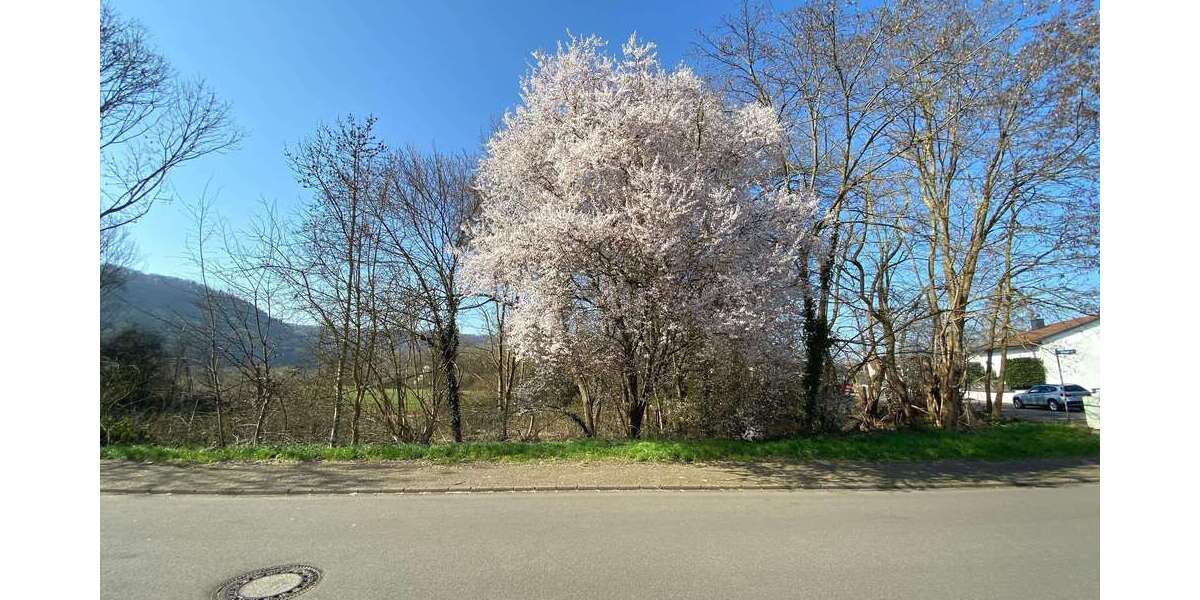 Grundstück Dillingen - 320.000&euro; | Angebot:16083280